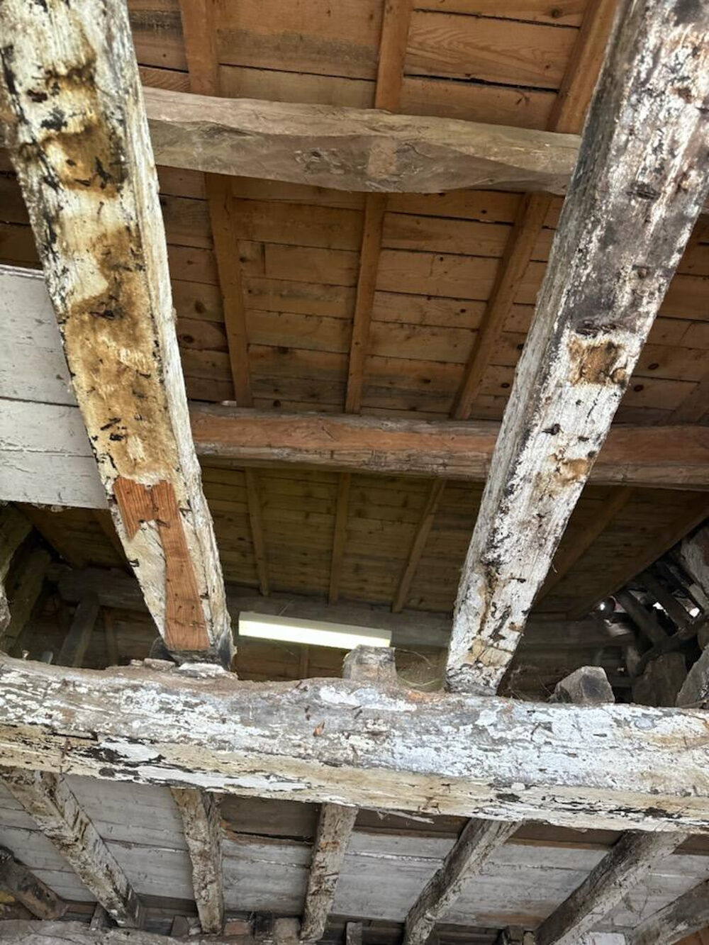 Vente Maison CAUJAC-Maison 4 pièces 110 m2 Caujac