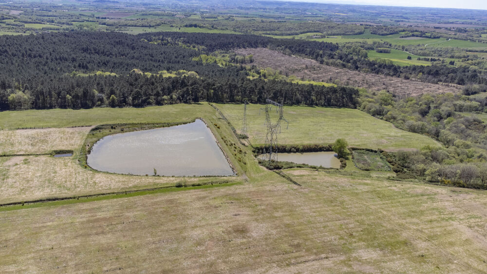 A 58 min de Toulouse - Propriété de 90 hectares d'un seul tenant