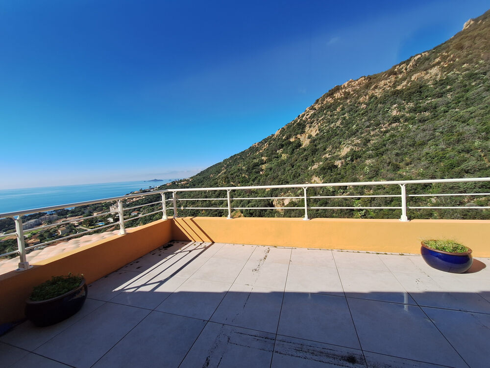 à vendre  Duplex/triplex Ajaccio (20000)