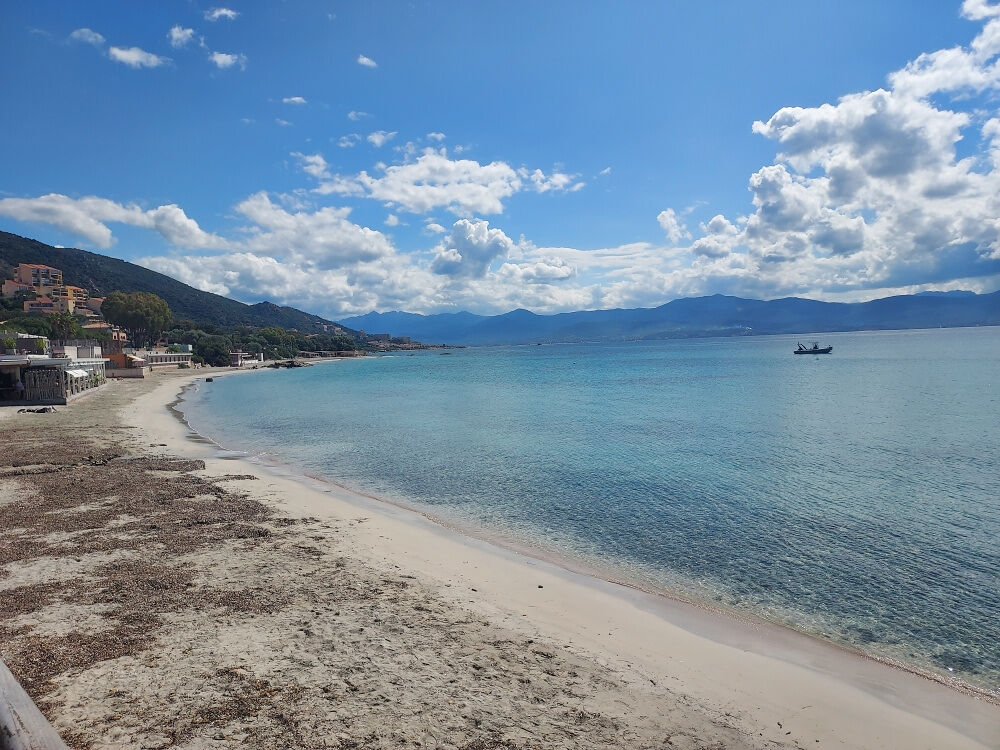 Vente Appartement T3 récent de standing 60m2 route des Sanguinaires vue sur mer Ajaccio