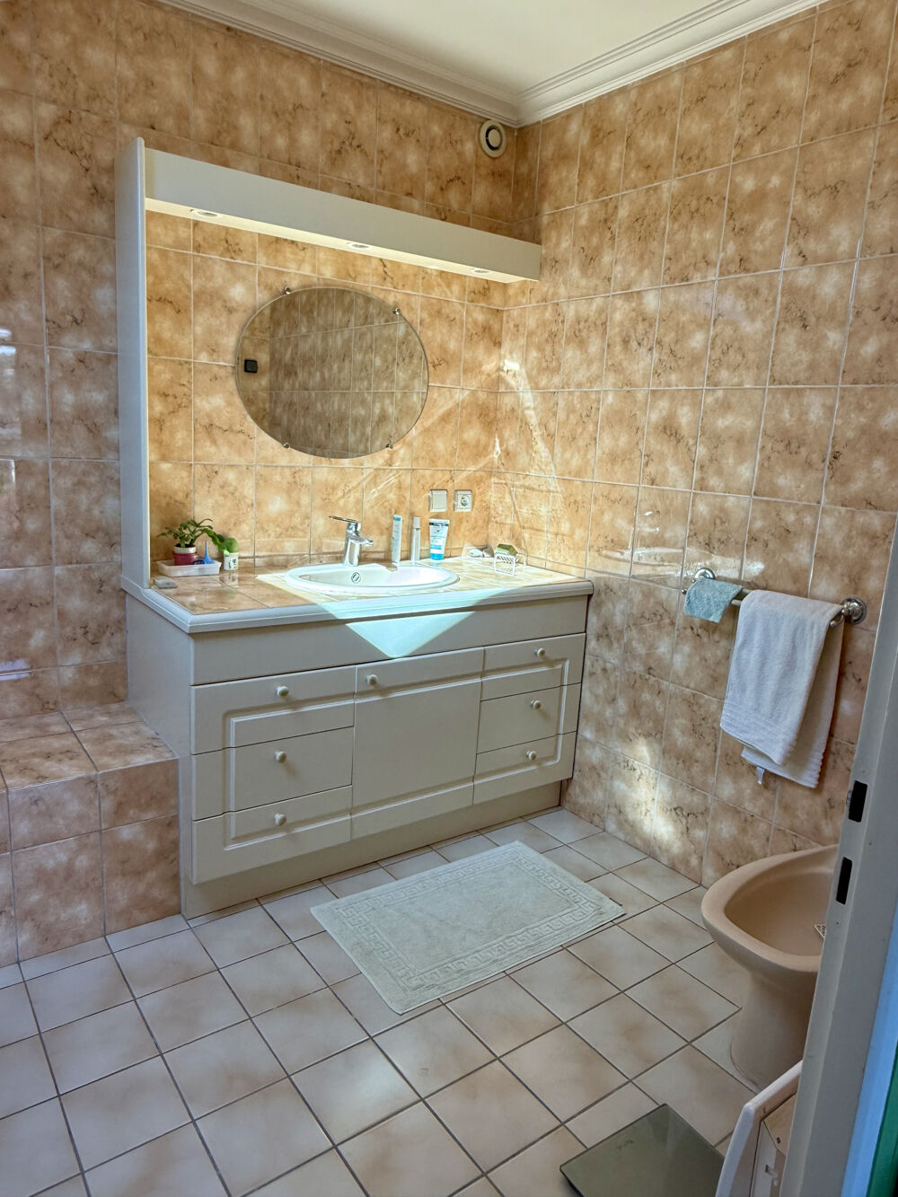 � vendre  Propri�t�/ch�teau Bron (69500)