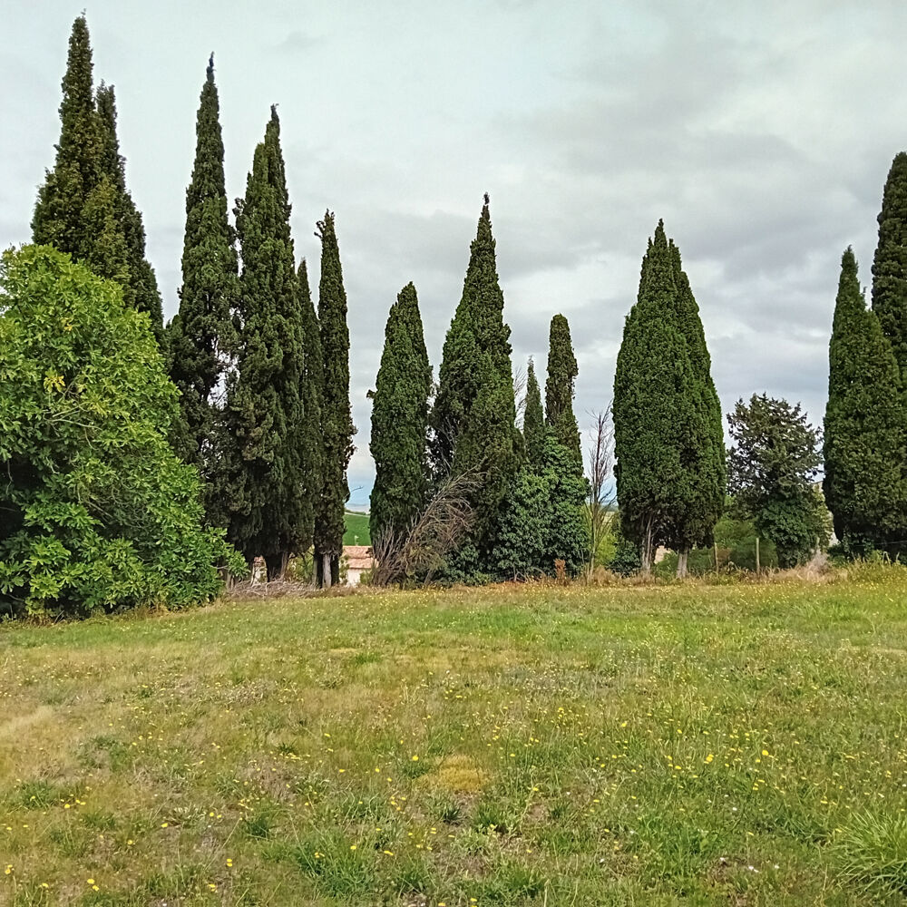Vente Terrain Beau terrain de 1.660m2 avec CU Alaigne