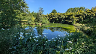  Propriété/château à vendre 6 pièces 140 m²