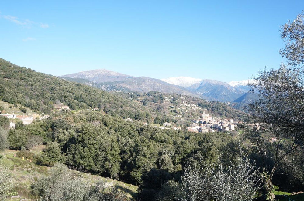 Vente Terrain Terrain Vico 5320m2 Vico