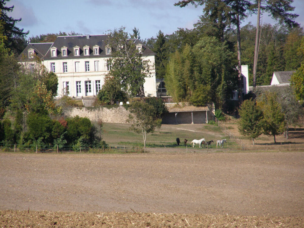Château et son domaine - 40 hectares