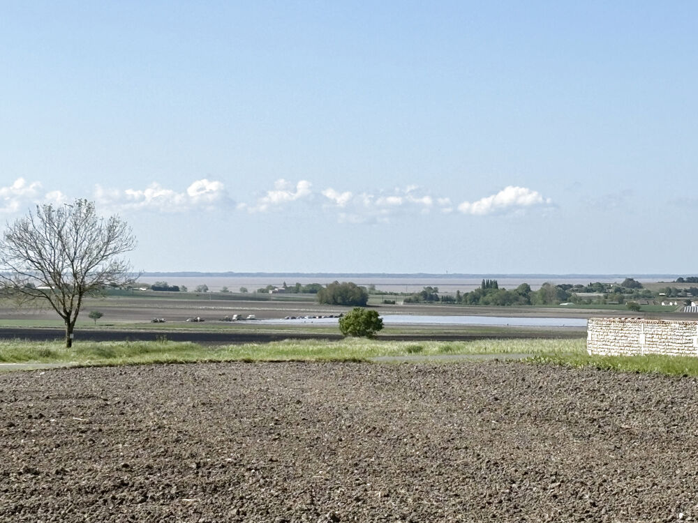 � vendre  Maison Arces (17120)