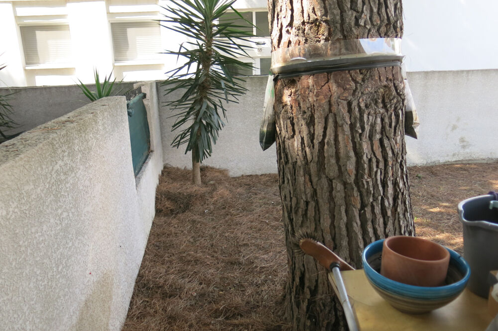  vendre  Maison Le Grau-du-Roi (30240)