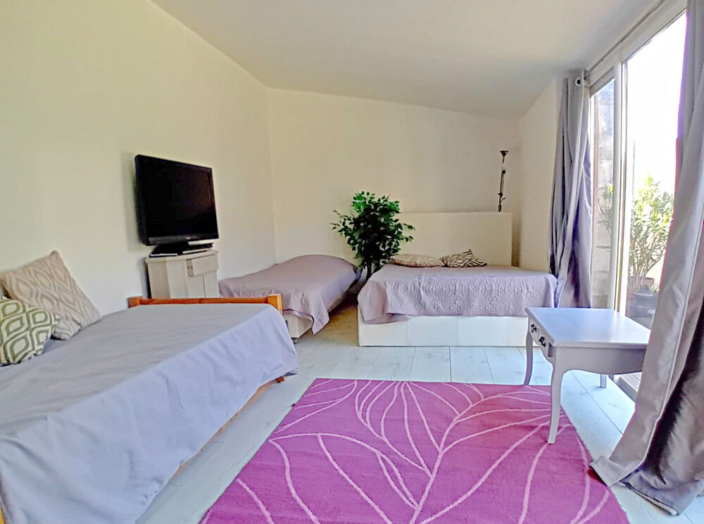 � vendre  Propri�t�/ch�teau Benon (17170)