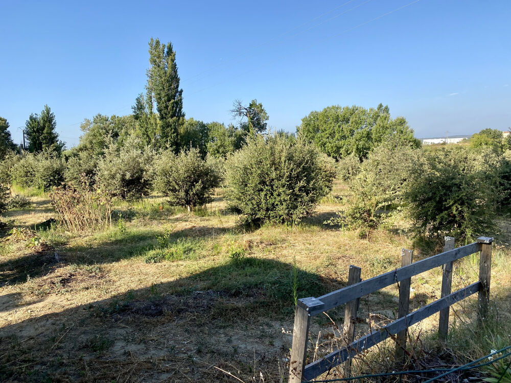 Vente Terrain terrain truffier, safran, verger Ste cecile les vignes