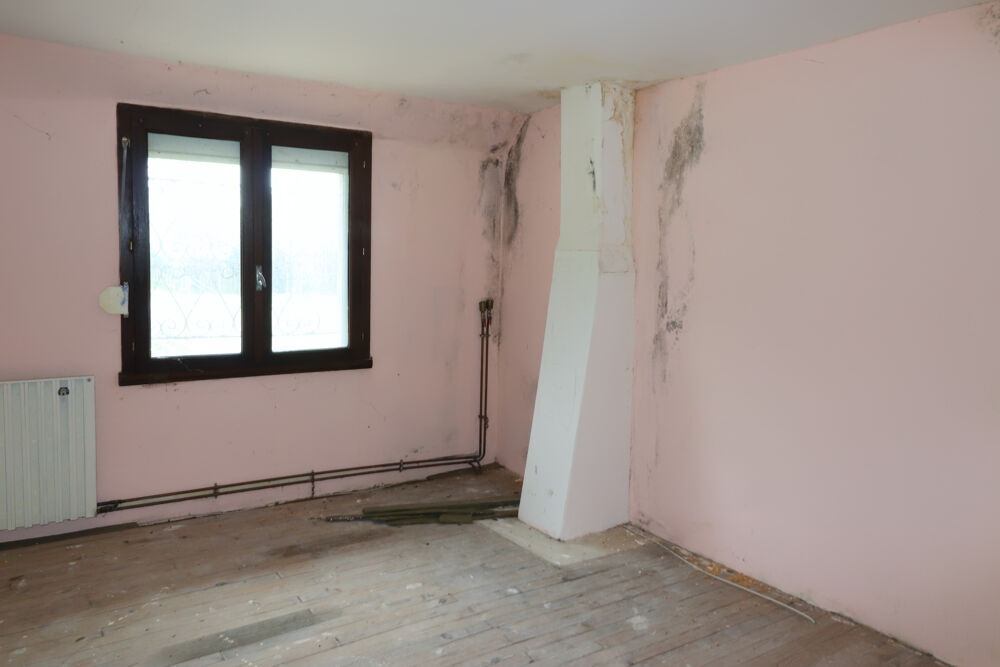 Vente Maison secteur Reignac - St Savin Maison à réaménager. Reignac