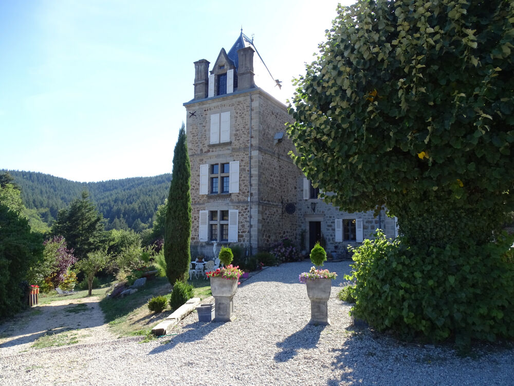 Vente Proprit/Chteau Domaine de chteau avec gtes, chambres et camping - aux normes ERP - bon rapport - en pleine nature  720 m St agreve