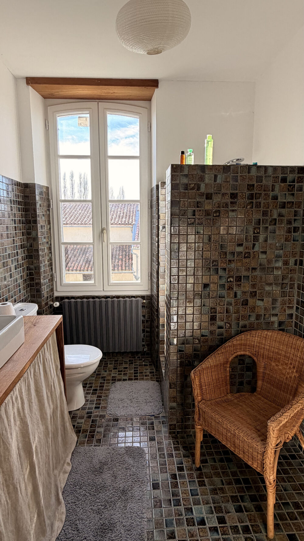 � vendre  Propri�t�/ch�teau Saint-Jean-d'Ang�ly (17400)