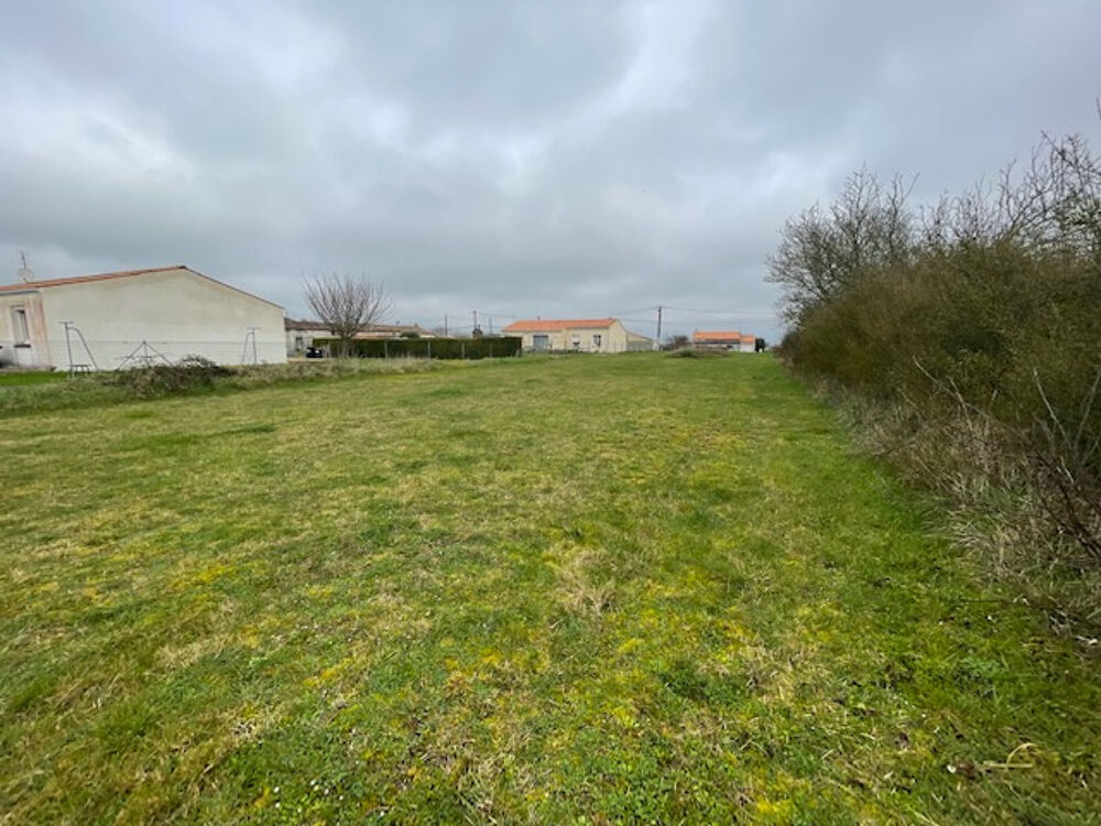 Vente Terrain  Arces Terrain constructible de 1445 m2 Arces