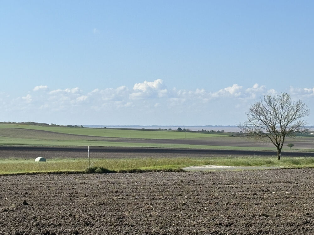 � vendre  Maison Arces (17120)