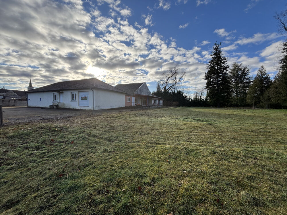 Vente Propriété/Château Au coeur du parc national à 9km de CHATILLON SUR SEINE ( 21)  :habitation de 450 M2 avec 1,5HA bord d'eau Villotte sur ource