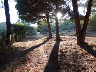  Propri�t�/ch�teau � vendre 5 pi�ces 130 m�