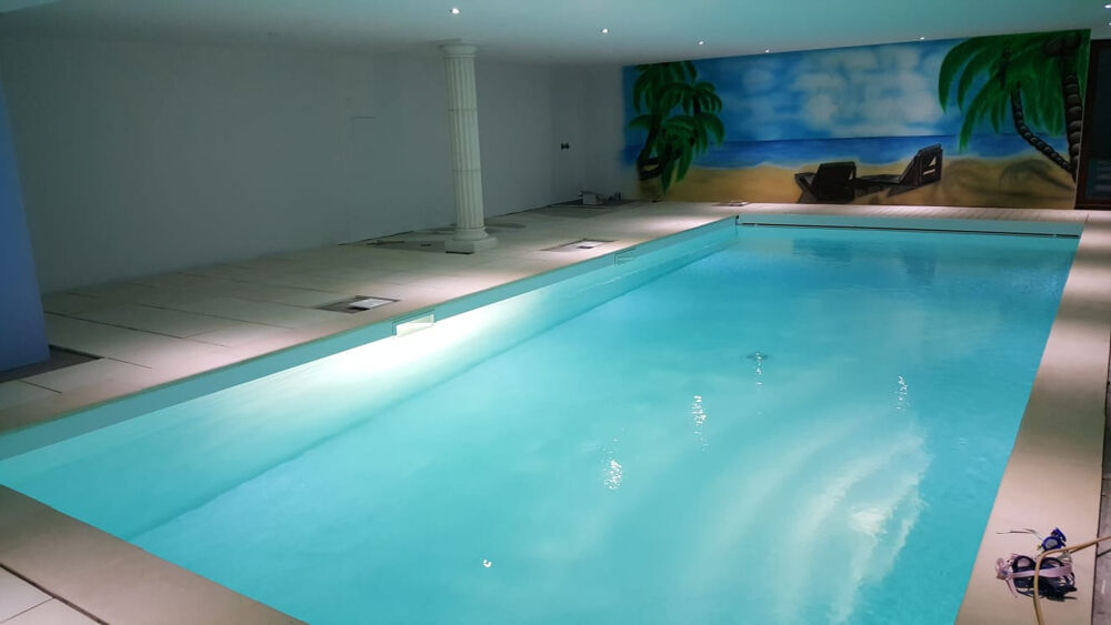 Vente Proprit/Chteau A 40 minutes de Lyon 8, belle villa de 450m2 avec piscine intrieure sur 3 224 m2 de terrain clos Lyon 8