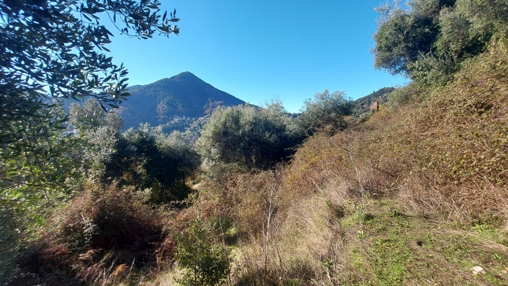Vente Terrain Terrain Vico 5320m2 Vico