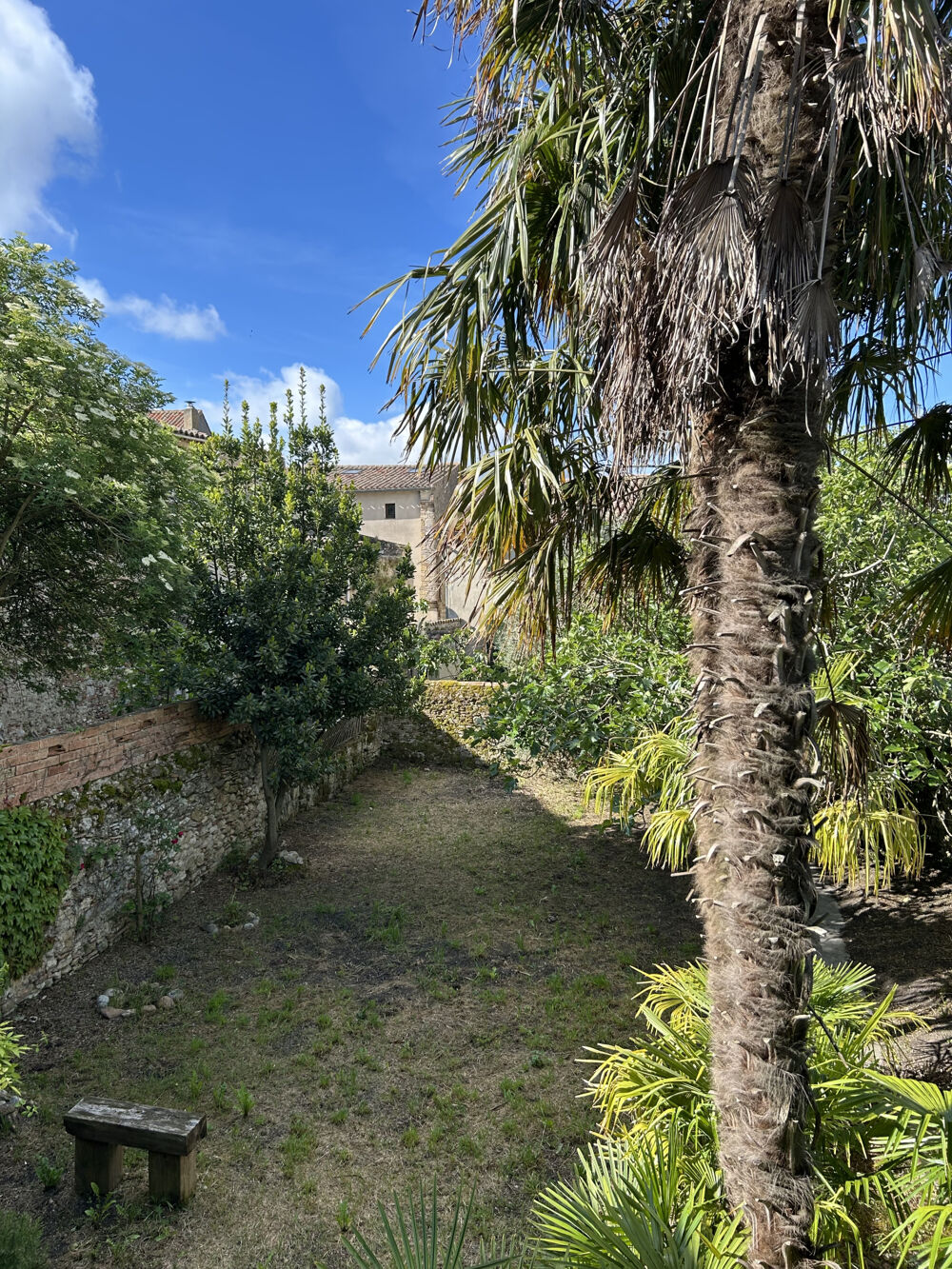 Belle Maison de Maître à Fanjeaux