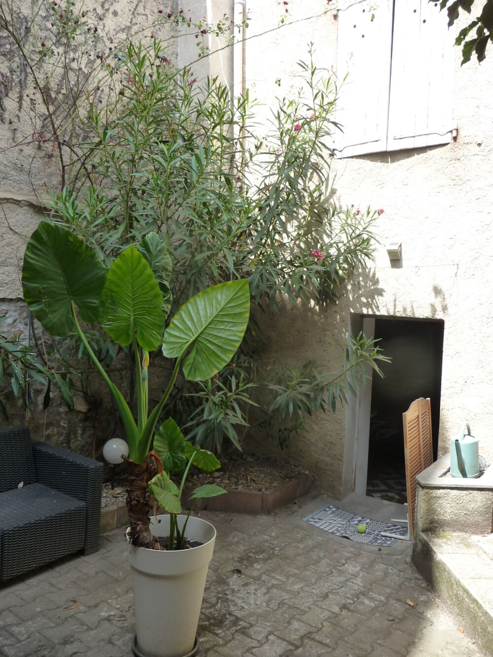 Vente Maison Montbrison centre 'un petit coin de paradis' maison de ville avec cour Montbrison