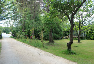  Terrain à vendre 400 m²