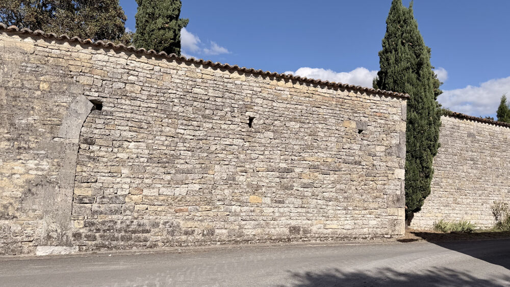 à vendre  Propriété/château Matha (17160)