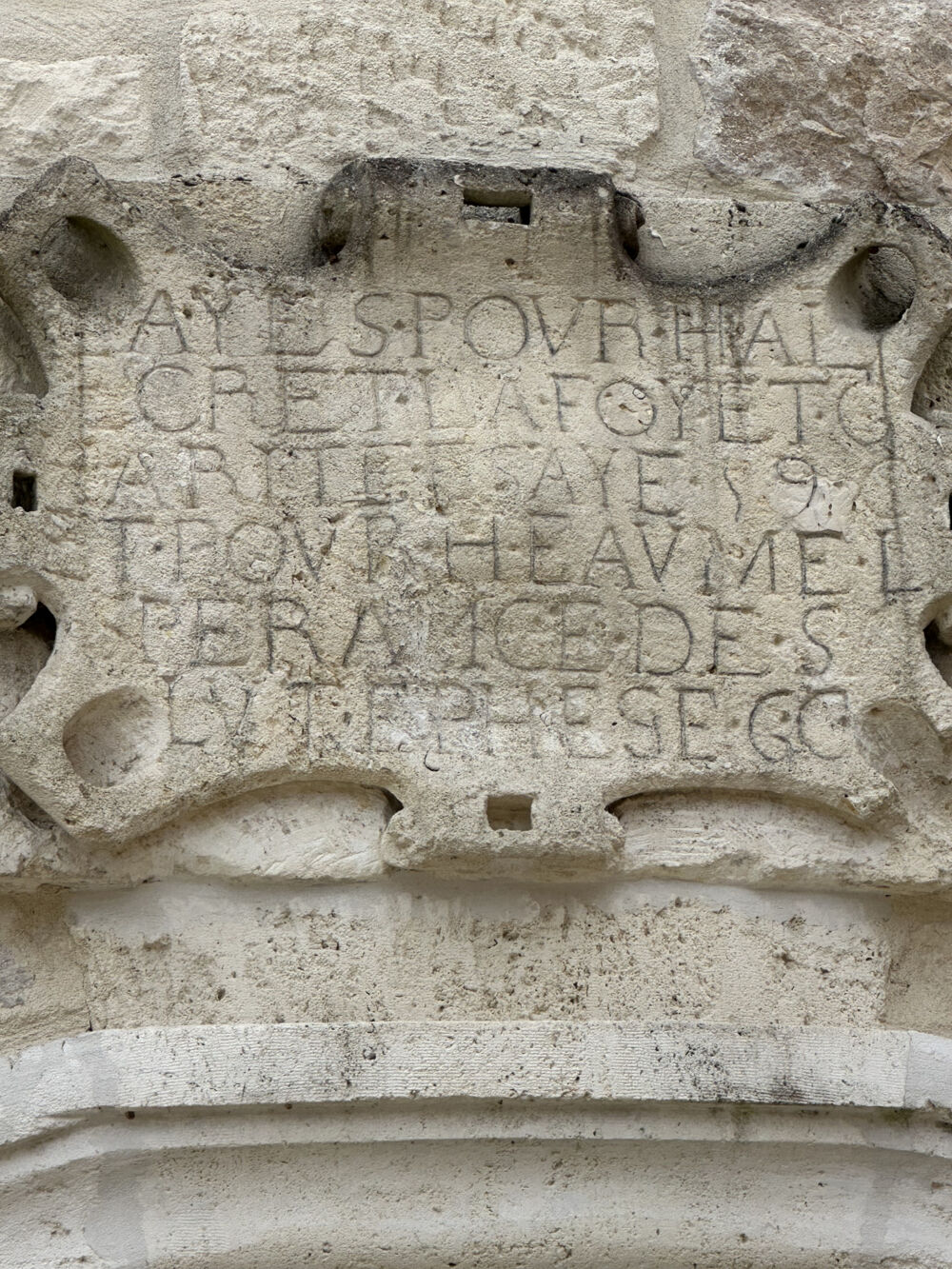  vendre  Proprit/chteau Saint-Jean-d'Angly (17400)