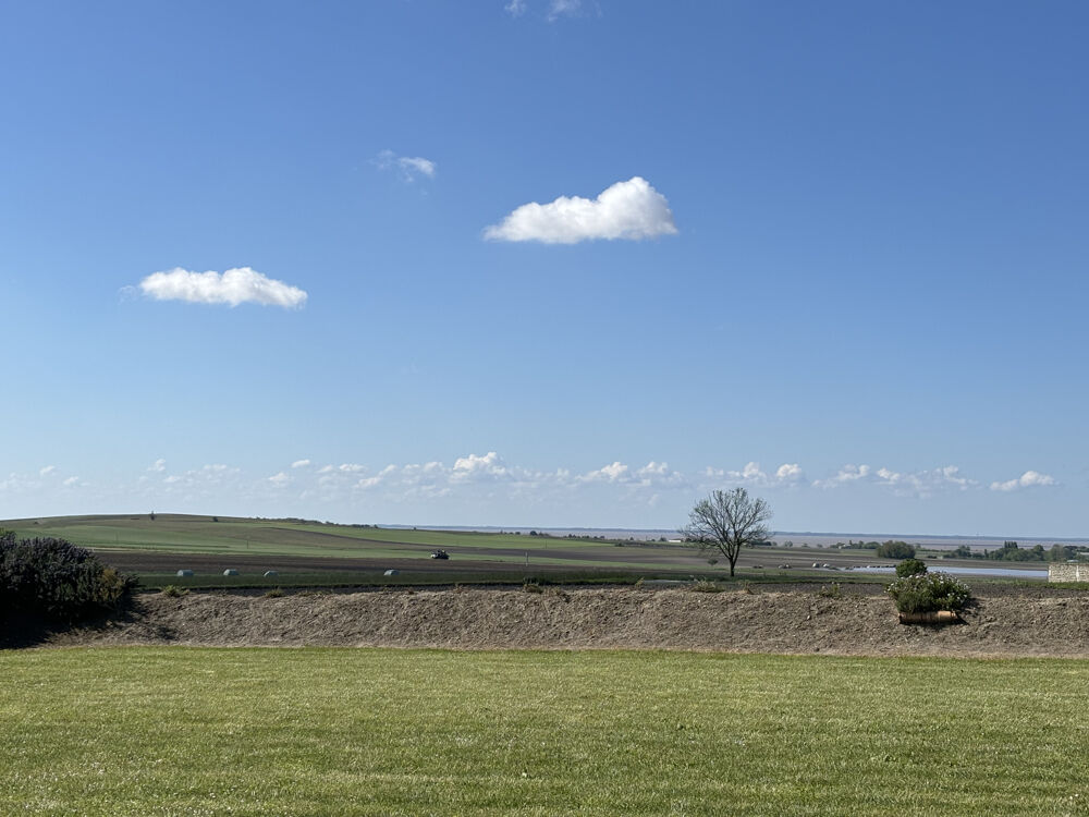 � vendre  Maison Arces (17120)