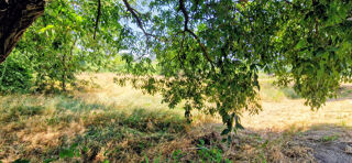  Terrain à vendre 2135 m²