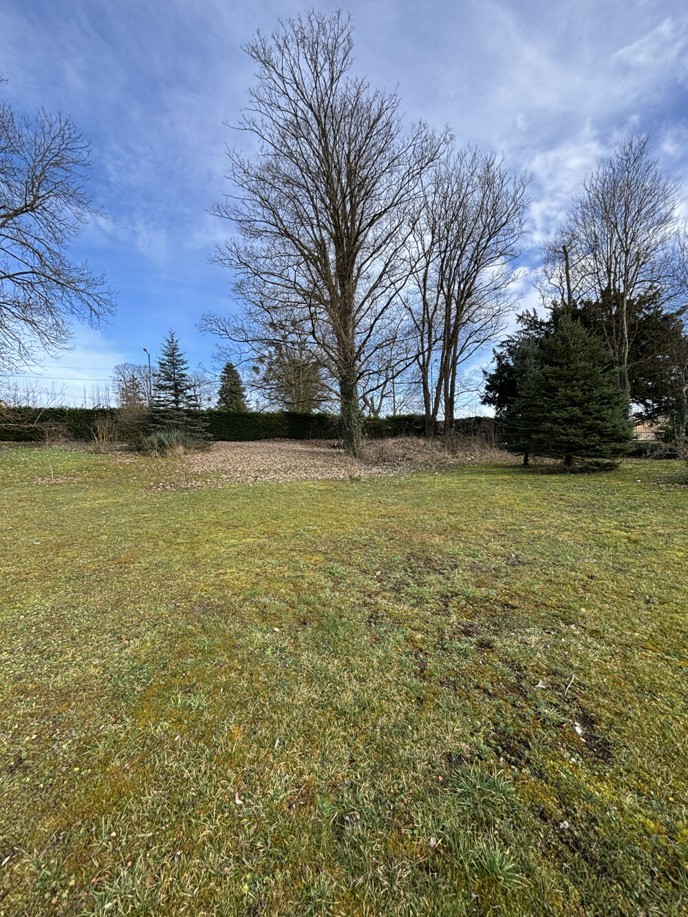Vente Maison Chamesson  (21)   : Charmant pavillon de 1999 moderne de 120m2  sur 5000m2 de terrain clôt  et garage Chamesson