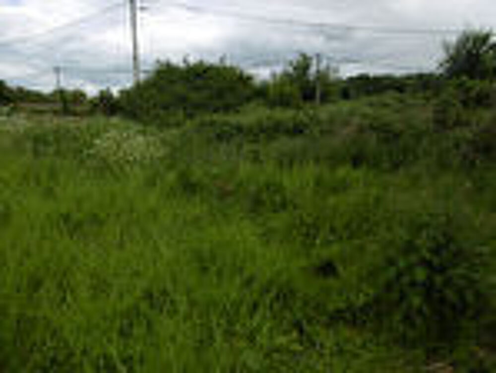Vente Terrain TRES BEAU TERRAIN A BATIR PLAT ET VIABILISE DE 6200 M2 POUR LOTIR 5 OU 6 MAISONS A MILLY SUR THERAIN Troissereux