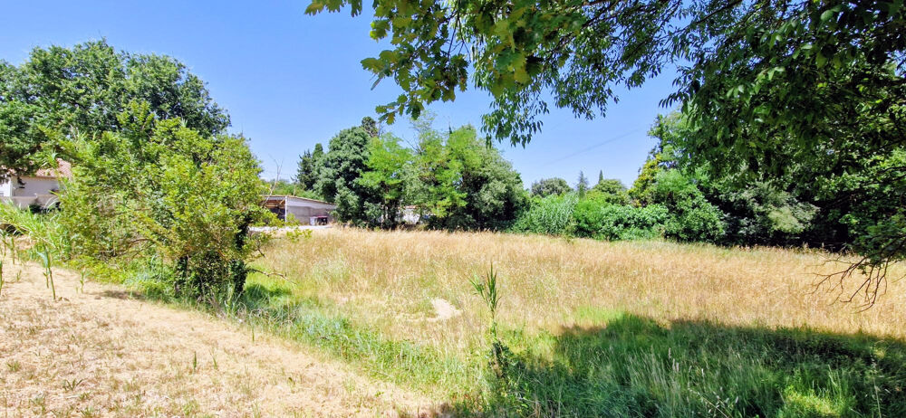 Vente Terrain terrain plat et constructible 2135 m2 84500 bollene Bollene