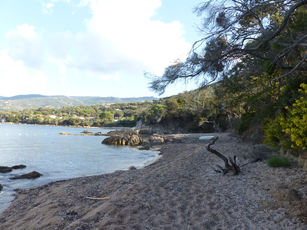 � vendre  Propri�t�/ch�teau Coti-Chiavari (20138)