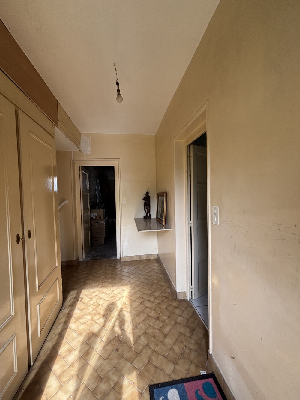 CHATILLON SUR SEINE : charmante maison de 150m2 ( R+2) avec terrain et garage au centre ville