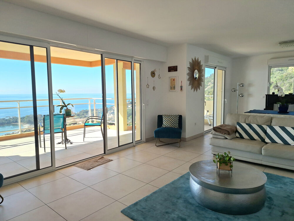 à vendre  Duplex/triplex Ajaccio (20000)