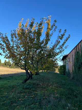  Ferme � vendre 5 pi�ces 145 m�