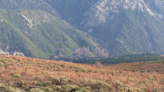  Terrain � vendre 600000 m�