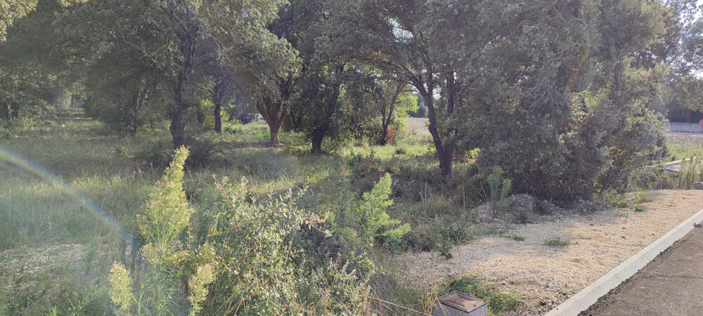 Vente Terrain Terrain à bâtir de 1821 m2 - très bel emplacement - Entièrement viabilisé La baume de transit