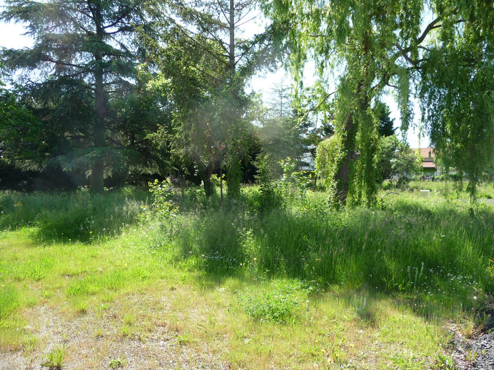 Vente Terrain SAVIGNEUX proche de tout à pied TERRAIN 760 M2 VIABILISE Savigneux