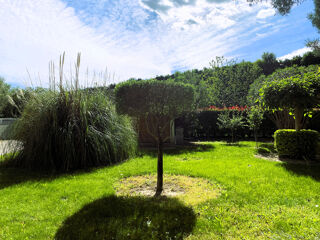  Maison � vendre 15 + pi�ces 800 m�