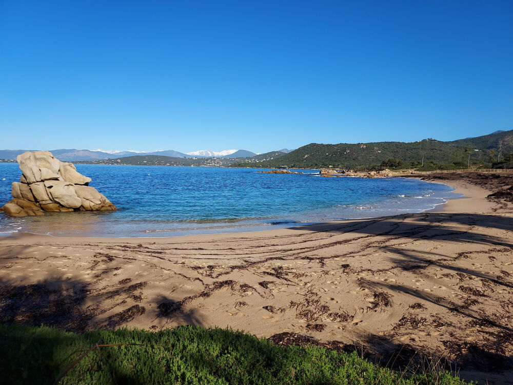 Vente Maison Rive Sud secteur Coti Chiaveri Etablissement les pieds dans l'eau avec appartement Coti chiavari