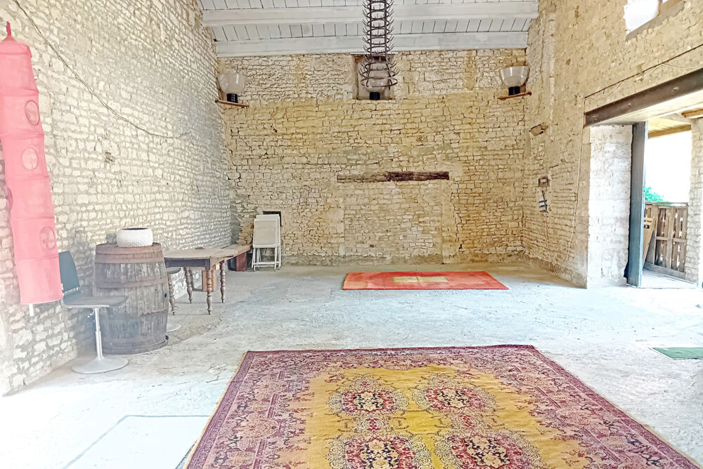 � vendre  Propri�t�/ch�teau Benon (17170)