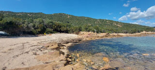  Appartement � vendre 4 pi�ces 110 m�