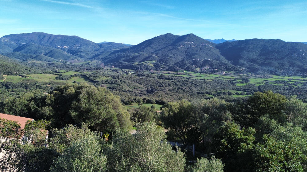Vente Terrain Terrain constructible vue mer à Olmeto   secteur prisé entre Propriano et Olmeto Olmeto