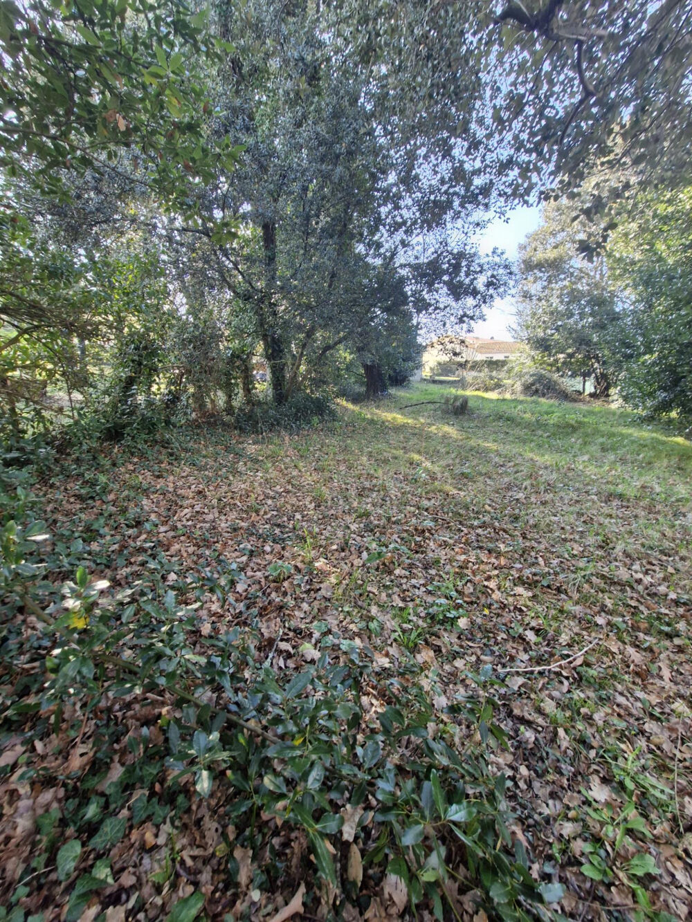 Vente Terrain Terrain 800 m2 17132 Meschers/ Gironde Meschers sur gironde
