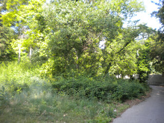  Terrain � vendre 1270 m�