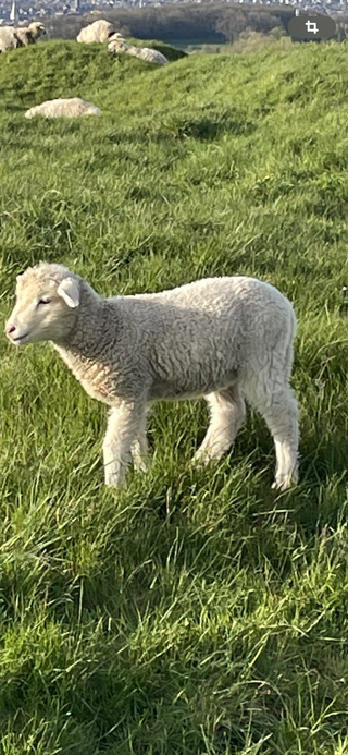  Terrain � vendre 5000 m�