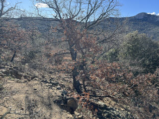  Terrain � vendre 1883 m�