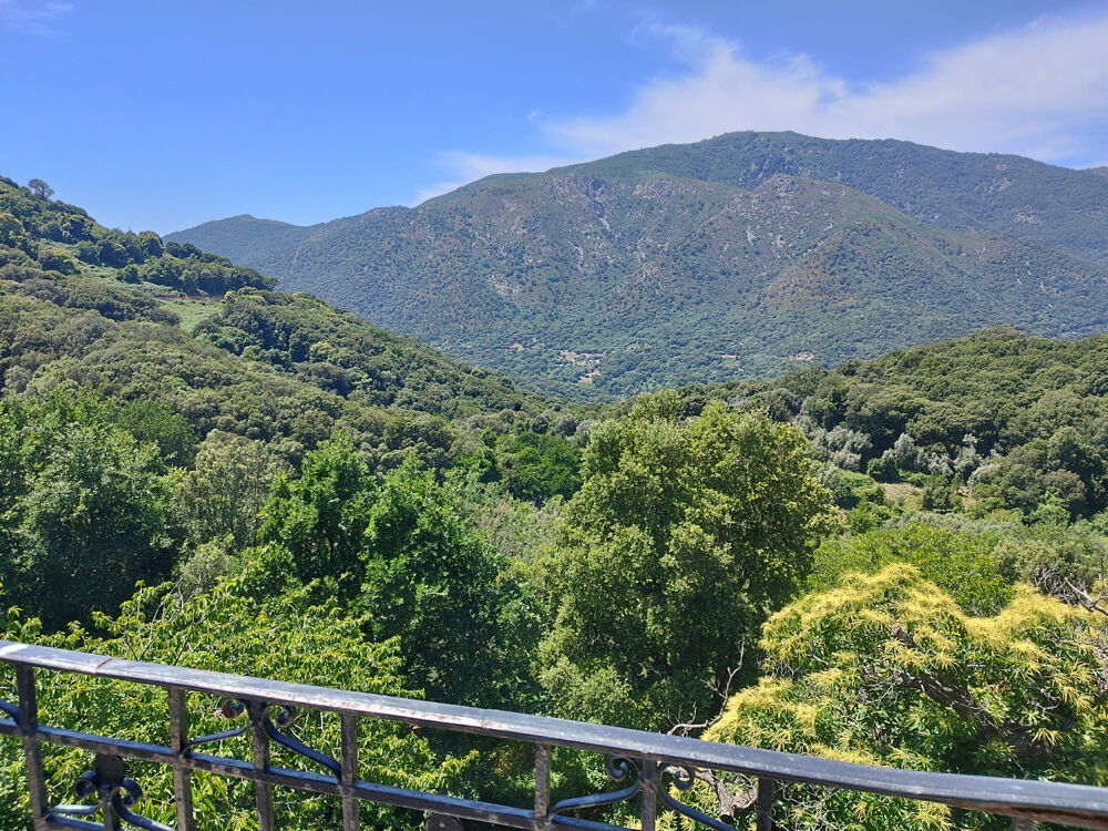 Vente Appartement Haut de villa rénové avec deux logements et terrain   Village de montagne corse Olmiccia