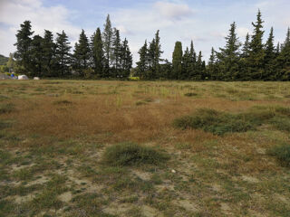  Terrain  vendre 2715 m